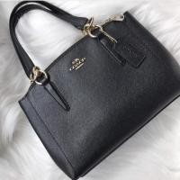 ราคา Coach ทรงพราด้า (862928197)