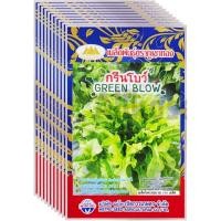 ราคา เมล็ดพันธุ์ ผักกาดหอม กรีนโบว์ ภูเขาทอง ขายส่ง ยกห่อ (1 ห่อ บรรจุ 10 ซอง) (42258958333)