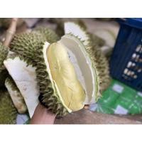 ราคา ทุเรียนทอด หมอนทองจันทบุรี (19501937210)