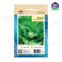 ราคา เมล็ดพันธ์ุผักเจียไต๋ เมล็ดผักหัว ผักกาดขาวปลีพันธ์ุเบา ,เขียวปลี (13298644560)
