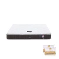 ราคา SB Design Square ที่นอน DUNLOPILLO รุ่น RAPTURE IIl 6 ฟุต พร้อมหมอนหนุน 2 ชิ้น (22886457697)