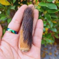 ราคา ตะกรุดหนังเสือ หลวงพ่อเปิ่นวัดบางพระ สุดยอดแห่งตะกรุดสายแคล้วคลาดปลอดภัย 6ซม.พกติดตัวได้ (9837659363)