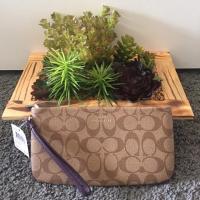 ราคา Coach Signature PVC Large Wristlet #F65748 IML90 (76813634)