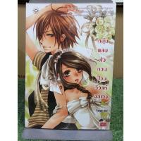 ราคา หนุ่มแสบตัวกวนป่วนวิวาห์อลเวง (25225646511)