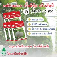ราคา เมล็ดเมล่อน เนื้อสีส้ม ลูกผสม F1 กรีนฮันนี่ ตราใบไม้ 4 เมล็ดต่อซอง 5 ซอง จาก ไดนามิคพันธุ์พืช (4830892963)