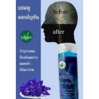 ราคา แชมพูใบว่าน” (สูตรดอกอัญชัน) รุ่นประหยัด 200 มล. (28762981772)