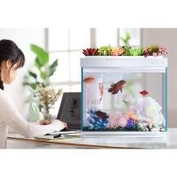 ราคา Xiaomi ตู้ปลาอัจฉริยะ (4253426812)