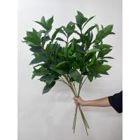 ราคา ใบเบย์ลีฟPGx4ก้านยาว พร้อบใบไม้ (25471390061)