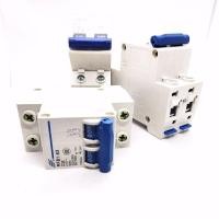 ราคา 1ตัว เบรคเกอร์ ลูกเซอร์กิตเบรคเกอร์ AC แบบยึดร่าง Circuit Breaker 2Pole 16A 20A 32A 40A 50A 63A (9008620830)