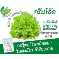 ราคา เมล็ดพันธุ์ ผักสลัด กรีนโอ๊ค (Green Oak) แหล่งรวบรวมนิวซีแลนด์ (23336919988)