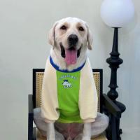 ราคา สัตว์เลี้ยงสุนัขเสื้อผ้าสุนัขขนาดใหญ่สีจับคู่ถนนสวมลูกสุนัขต่อต้านผ้าสําลีเสื้อกันหนาวลาบราดอร์ (44900811980)