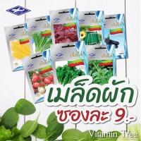ราคา เมล็ดผัก เจียไต๋ 9บาท ผักสวนครัว ผักบุ้ง ผักกาด ต้นหอม มะเขือ กวางตุ้ง กะเพรา โหระพาผักชีแฟงคะน้าแตง (9095669934)