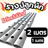 ราคา รางปลูกผักไฮโดรโปนิกส์ NFT รางหนา แข็งแรง พร้อมเจาะรูฟรี 5-19 ช่อง ความยาว (1-2 เมตร) (40623552866)