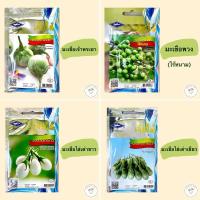 ราคา เมล็ดพันธุ์ผัก(ซอง) มะเขือเจ้าพระยา มะเขือพวงไร้หนาม มะเขือไข่เต่าขาว มะเขือไข่เต่าเขียว ตราเครื่องบิน เจียไต๋ (9217910812)