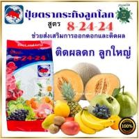 ราคา ปุ๋ยตรากระทิงลูกโลก 8-24-24 สูตรเร่งดอก เร่งผล ปุ๋ยเร่งดอก ปุ๋ยเร่งผล ปุ๋ยทำดอก ปุ๋ยไม้ดอก ปุ๋ยดอก ดอก บำรุงผล ขนาด 1 กิ (41164491583)
