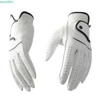 ราคา MAOYE ถุงมือหนังกอล์ฟ,ซ้ายเดียวมือBreathableผู้ชายกีฬาถุงมือกอล์ฟ,สีขาวนุ่มสูงสุดGripหนังแกะอุปกรณ์กอล์ฟชาย (26243550460)