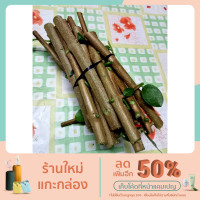 ราคา กิ่งเพรมน่าไต้หวัน(มัดละ20กิ่ง)คละไซส์ (12538860203)