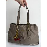 ราคา Coach Ashley Tote โทสหนังแท้ทั้งใบ สภาพใหม่กริบ อะไหล่ทอง (55800914603)