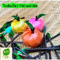 ราคา ใบส้มเรียว สำเร็จ(ก้าน+ใบ) เหรียญโปรยทานพร้อมส่ง (27035386782)