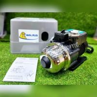 ราคา WALRUS ปั๊มน้ำอัตโนมัติ เสียงเงียบ รุ่น TQ400B-C (พร้อมฝาครอบ) กำลัง 370วัตต์ / ท่อออก 1x1"นิ้ว ปั๊มน้ำ ปั๊มบ้าน (24620743992)