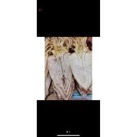 ราคา ปลาหมึกกล้วยตากแห้ง เนื้อหนา (22972465663)