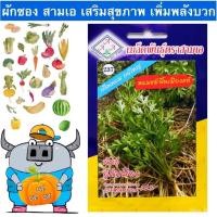 ราคา เมล็ด เมล็ด AAA ผักเพาะ สามเอ A237 หอมแย้ อินทรีย์ อู้กำเมือง ผัก หอมแย้พื้นเมือง เพาะไร่ ผักสะแงะ ยำ มะ (20179019638)