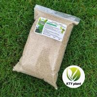 ราคา เมล็ดหญ้าพาสพาลัม 1 กิโลกรัม เมล็ดหญ้าสนาม หญ้าพาสพาลั่ม (29288542779)
