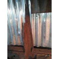 ราคา ตอไม้ขอนไม้รากไม้500บาทพร้อมส่ง (15572031525)