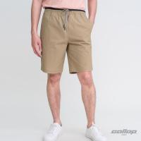 ราคา GALLOP : Men's Wear CASUAL SHORTS กางเกงขาสั้นเอวยางยืด รุ่นต่อขอบ GS9024 สี Warm Brown น้ำตาล / ราคาปกติ 1790.- (24230664301)