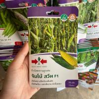 ราคา ข้าวโพดหวานลูกผสม ฝักสีเหลือง (จัมโบ้สวีท) ตราศรแดง (26718119012)