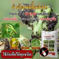 ราคา ยากำจัดแมลงเพลี้ย ปราบได้ทั้งเพลี้ยดำ 100กรัม เพลี้ยแป้ง เพลี้ยไก่แจ้ เพลี้ยไฟ ป้องกันได้ในระยะเริ่ม ใช้ได้กับพืชทุกชนิด (26189352623)