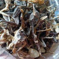 ราคา เขียดน้อยตากแห้งกรอบ100gm. (41804781426)