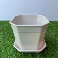 ราคา กระถางพลาสติก + ถาดรอง ทรงแปดเหลี่ยม สีขาวครีม ขนาด 5 นิ้ว(ปากกระถาง 5 นิ้ว) กระถางสวย (25011775482)