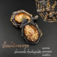ราคา เบี้ยแก้ของแท้ ป้องกันคุณไสยสิ่งอัปมงคลทั้งปวง หลวงพ่อเปิ่นวัดบางพระ แก้ดวงตกชะตาขาดเสริมศิริมงคล โปรโมชั่นสินค้าขายดี!! (17461437983)