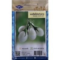ราคา มะเขือไข่เต่าขาว มะเขือ เมล็ดมะเขือไข่เต่าขาว เมล็ดผักสวนครัว เมล็ดพันธ์พืชผัก เมล็ดพันธ์มะเขือไข่เต่าขาว (10755109930)