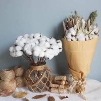 ราคา ดอกฝ้าย ดอกไม้แห้ง ก้านไม้ประดิษฐ์ ความยาว44cm ดอกไม้ประดิษฐ์ตกแต่งแจกัน Fay - Flowers (27124112347)