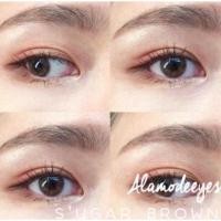 ราคา คอนแทคเลนส์ ✨ขนาดมินิ ✨Brown✨Mini Sugar (Kitty kawaii) (1333481044)