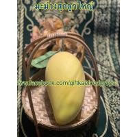 ราคา ผลไม้ปลอม โมเดลมะม่วงน้ำดอกไม้ปลอม (ลูกใหญ่) (7915418435)