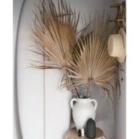 ราคา ใบตาลแห้ง ใบตาลเต็มใบแห้ง (27868566865)