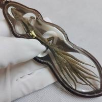 ราคา จิ้งจก 9 หาง ก้าวหน้า ก้าวเมตตา ก้าวเสน่ห์หา เชื่อกันตามแต่โบราณว่า จิ้งจกที่มีสัญชาตญาณพิเศษรู้เหตุการณ์ล่วงหน้า (20688702398)