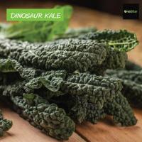 ราคา คะน้าไดโนเสาร์ดีต่อสุขภาพ LACINATO KALE 150 เมล็ด (8881043875)