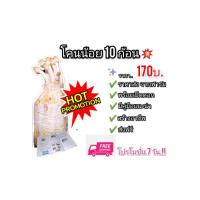 ราคา เห็ดโคนน้อย แพ็ค 10 ก้อน ( ส่งฟรี )พร้อมเปิดดอก มีคู่มือการเพาะ (2446886727)