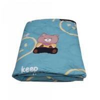 ราคา ผ้าห่มลาย Teddy ขนาด 60x80 นิ้ว สีเขียว (25195015403)