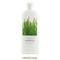 ราคา เวติเวอร์ แชมพูกิฟฟารีน & เวติเวอร์ คอนดิชันเนอร์ Vetiver Shampoo & Conditioner Giffrine (4358167623)