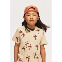 ราคา H&M(เอชแอนด์เอ็ม) เสื้อยืดพิมพ์ลาย เด็กผู้ชาย 1216652_22 (41153020118)