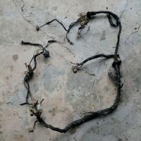 ราคา ชุดสายไฟมือสอง honda nova สภาพพอใช้ ขายตามสภาพ (7846205283)