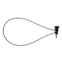 ราคา Safety Stainless Steel Tether Lanyard Wrist Hand 30cm For GoPro Camera (2338603425)
