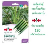 ราคา 5 ฟรี 1 คละได้ทั้งร้าน เมล็ดพันธุ์ กระเจี๊ยบเขียว ควีนสตาร์ ตราศรแดง เมล็ดพันธุ์ผัก ผักสวนครัว (27808685731)