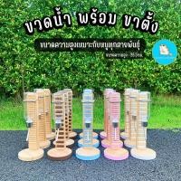 ราคา ขวดน้ำหนู พร้อมขาตั้ง เหมาะกับหนูทุกชนิด//กระบอกน้ำแฮมเตอร์ ขวดน้ำหนูแฮมเตอร์ ไจแอนท์ วินเทอร์ไวท์ แฟตเทล ดอร์เม้าส์ (21738251029)