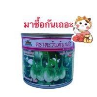 ราคา เมล็ดพันธุ์ มะเขือเปราะน้ำหยดราชบุรี#29 20g (42202435542)